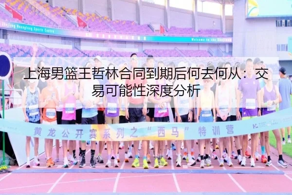 上海男篮王哲林合同到期后何去何从：交易可能性深度分析